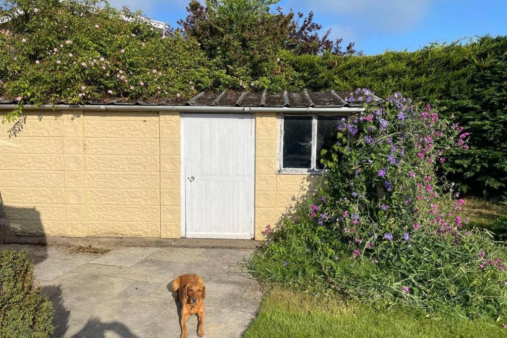 3 Bed Bungalow In Winchcombe, Cotswolds,Gloucester Exteriér fotografie